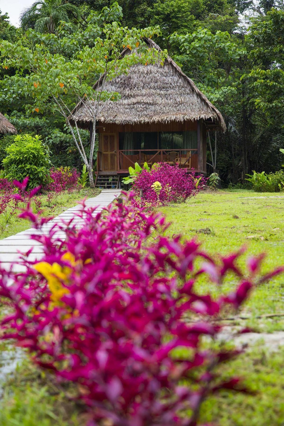 Curaka Lodge Expedition Iquitos Exteriör bild